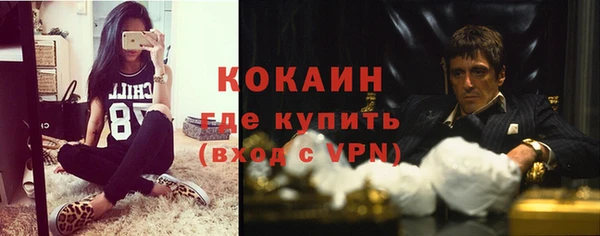 мдпв Вяземский