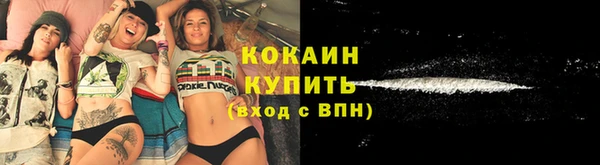 мдпв Вяземский
