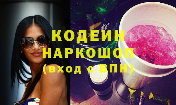 мдпв Вяземский