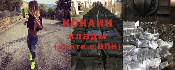 мдпв Вяземский