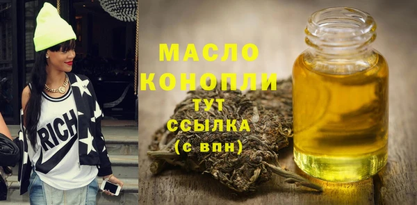 мдпв Вяземский