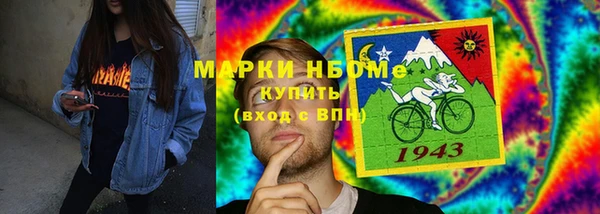 мдпв Вяземский