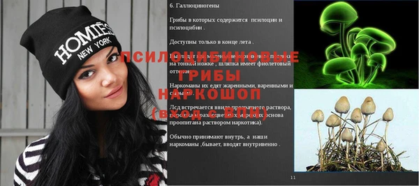 соль ск Вязники
